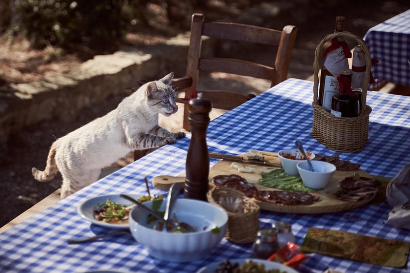 Farm-to-Table Dishes